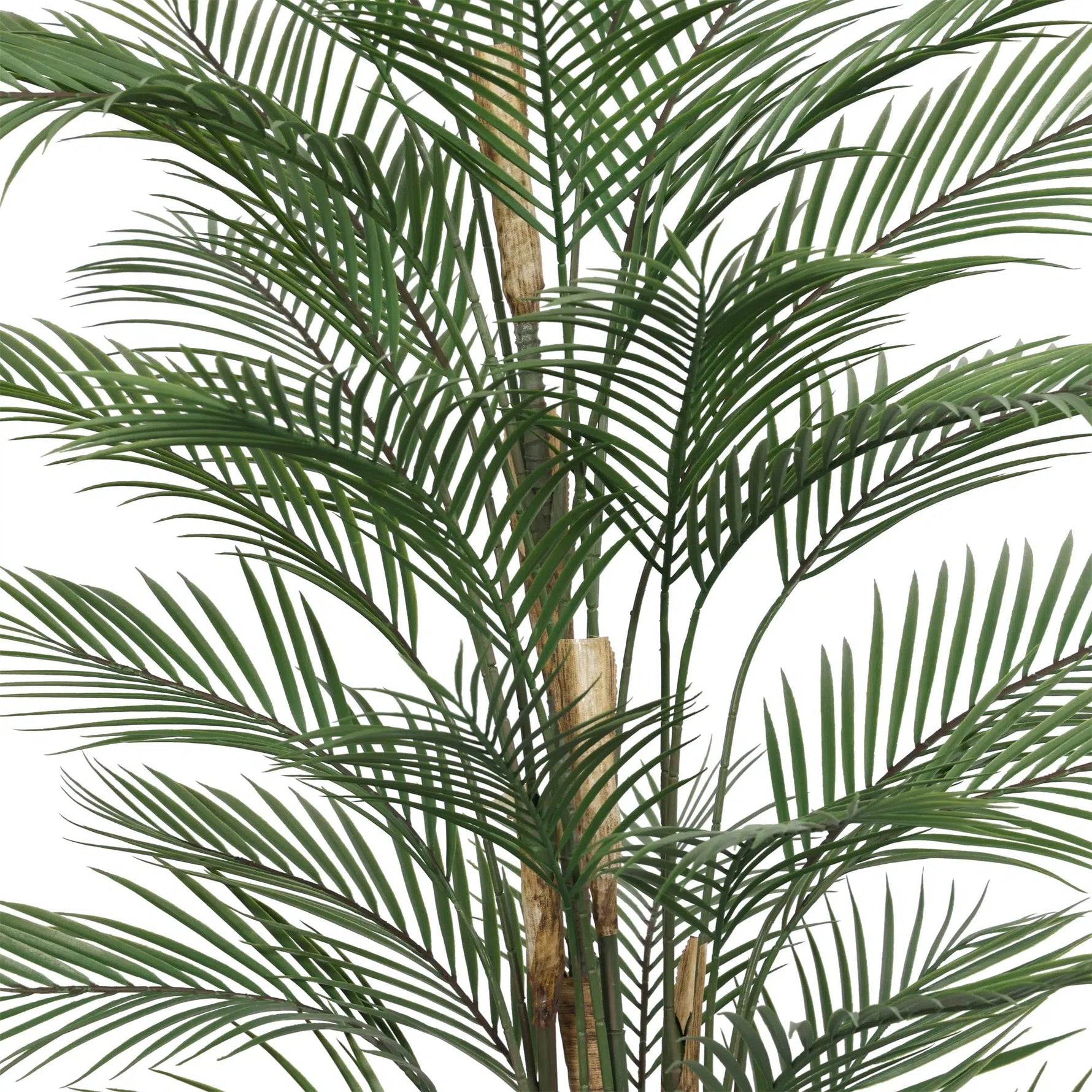 Artificial Areca Palm Tree 210cm - UV Protected Tropical Plant - Designer Vertical Gardens Artificial tree Artificial Trees