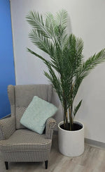 Artificial Areca Palm Tree 210cm - UV Protected Tropical Plant - Designer Vertical Gardens Artificial tree Artificial Trees