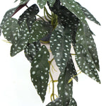 Artificial Begonia Plant In Decorative Bowl 30cm - Designer Vertical Gardens Artificial Shrubs and Small plants Flowering plants