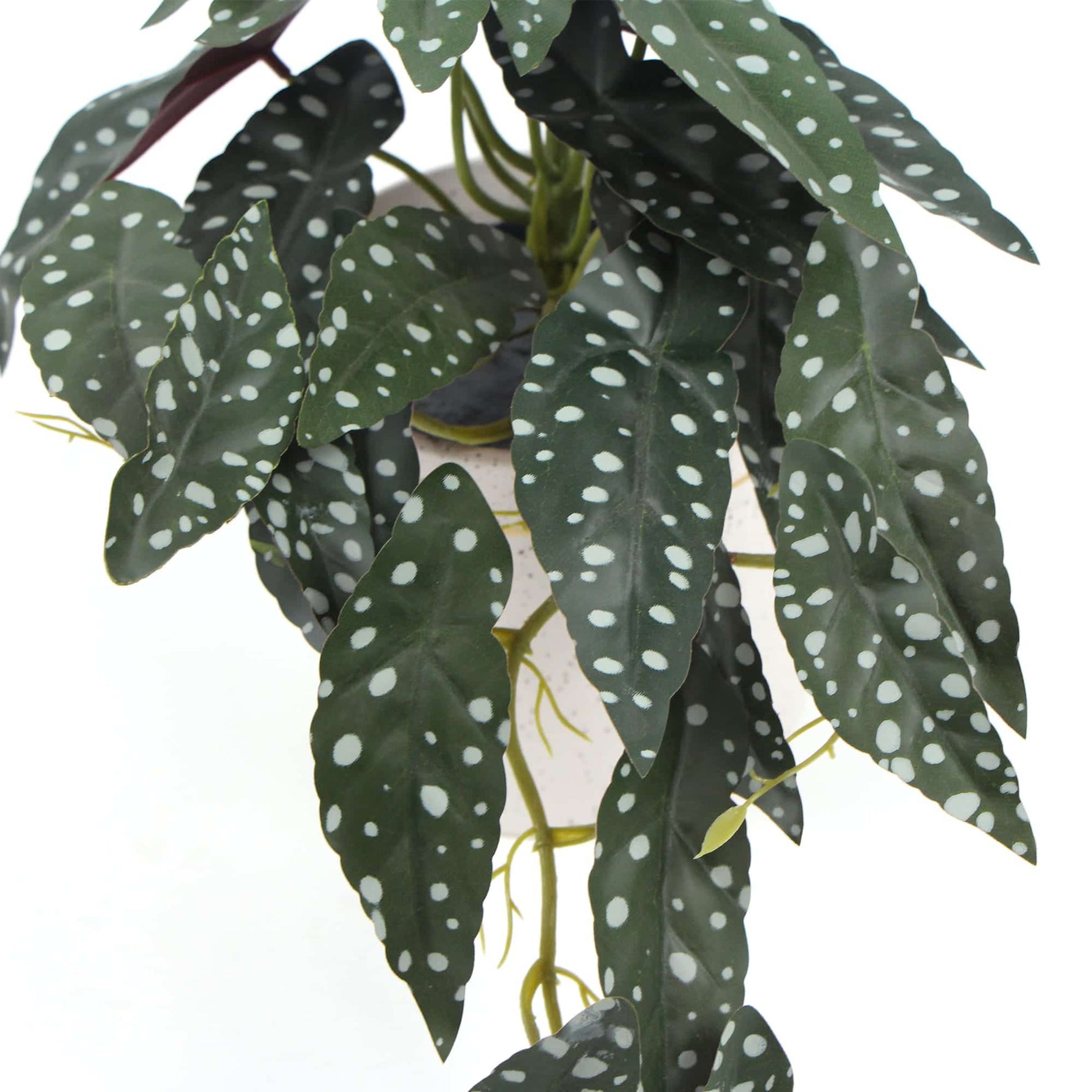 Artificial Begonia Plant In Decorative Bowl 30cm - Designer Vertical Gardens Artificial Shrubs and Small plants Flowering plants