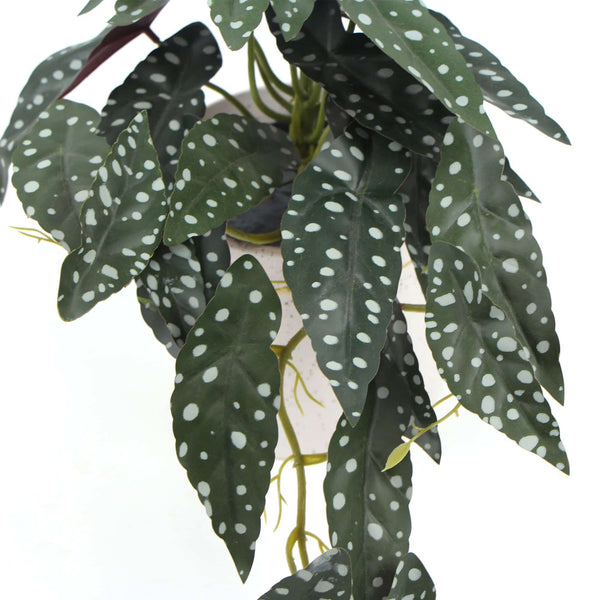 Artificial Begonia Plant In Decorative Bowl 30cm — gallery image 7