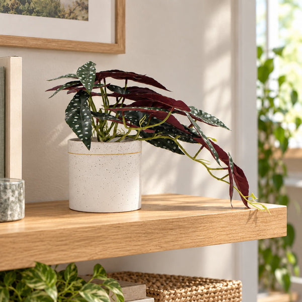 Artificial Begonia Plant In Decorative Bowl 30cm — gallery image 14