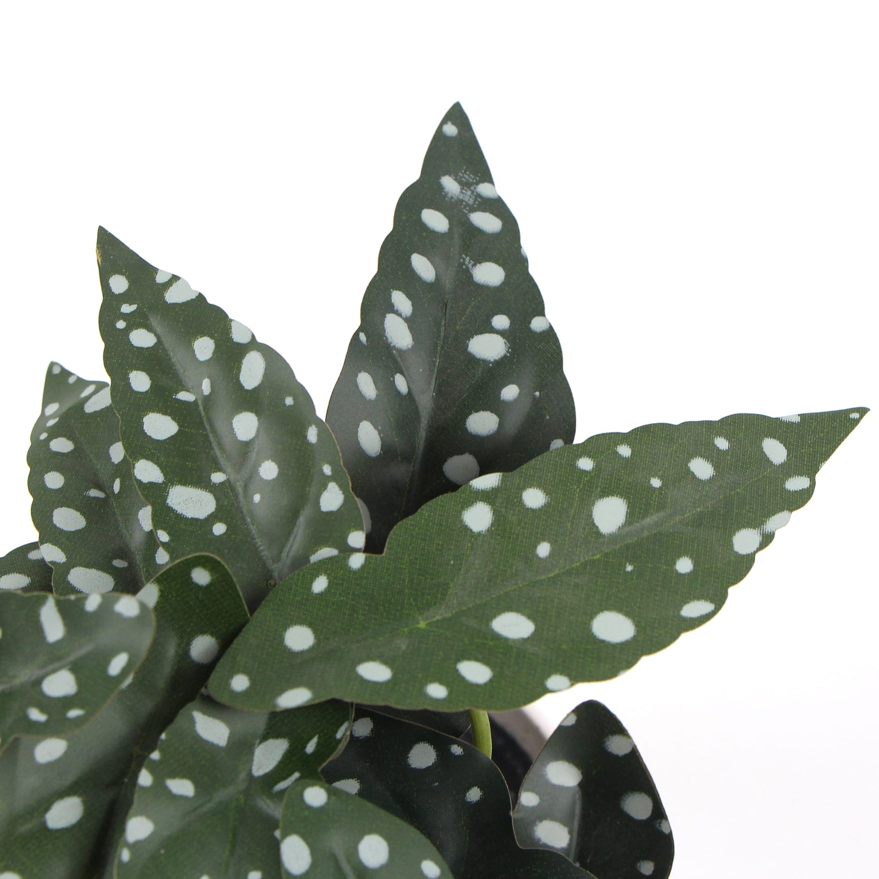 Artificial Begonia Plant In Decorative Bowl 30cm - Designer Vertical Gardens Artificial Shrubs and Small plants Flowering plants