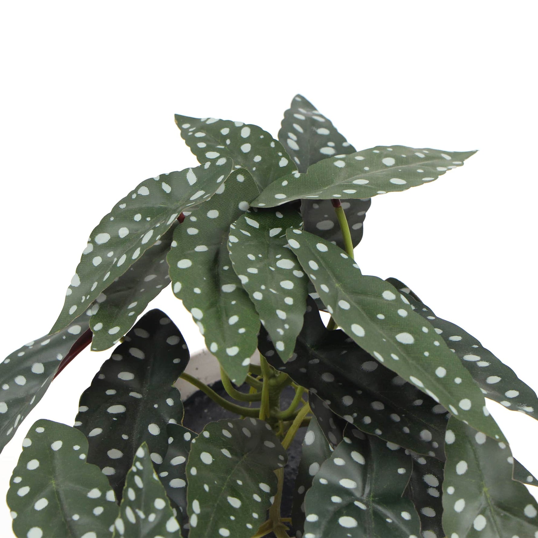 Artificial Begonia Plant In Decorative Bowl 30cm - Designer Vertical Gardens Artificial Shrubs and Small plants Flowering plants