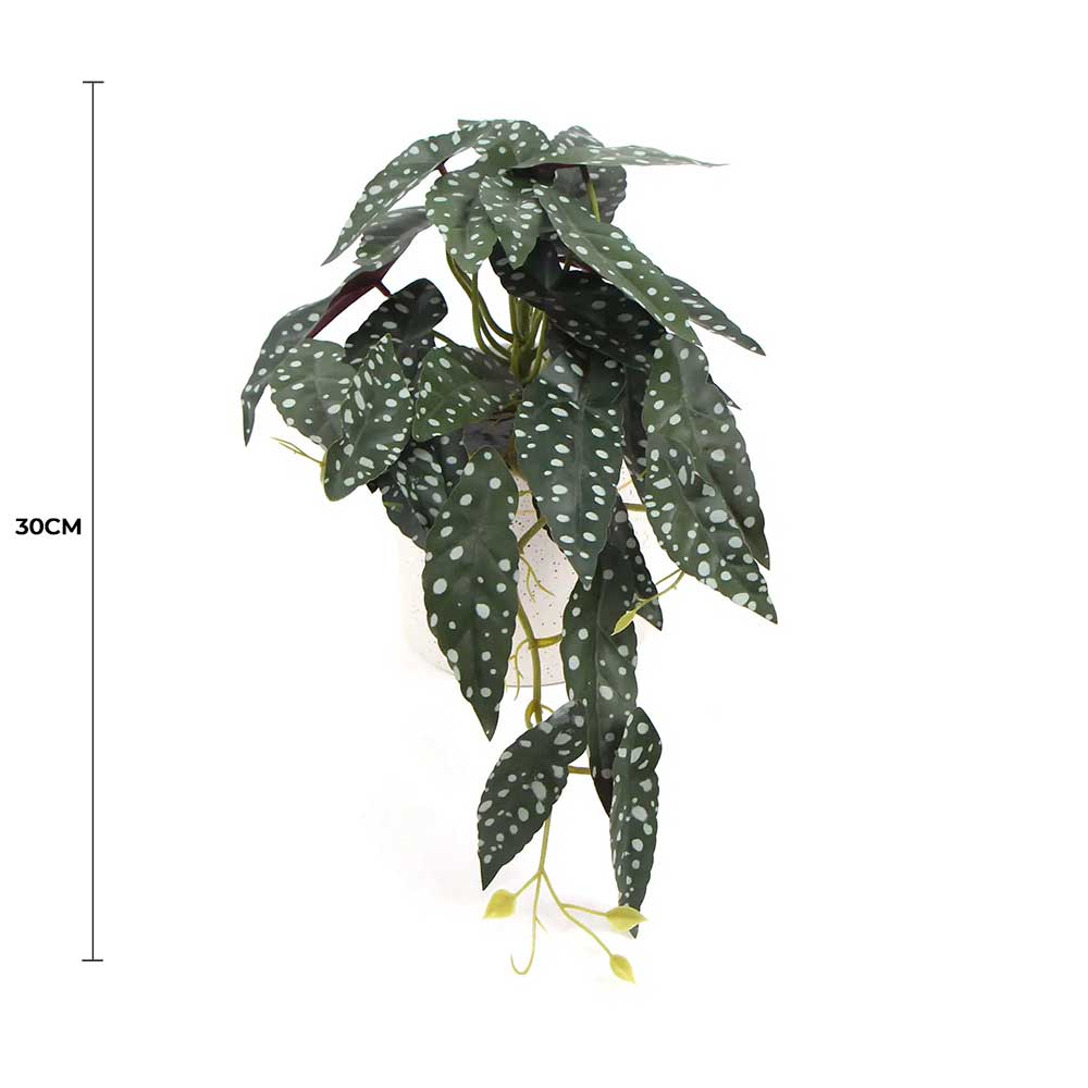 Artificial Begonia Plant In Decorative Bowl 30cm - Designer Vertical Gardens Artificial Shrubs and Small plants Flowering plants