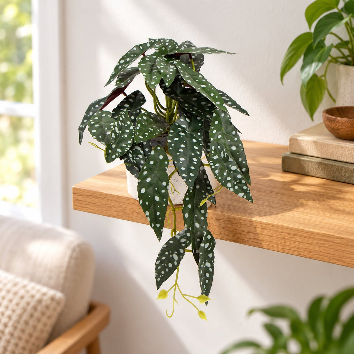 Artificial Begonia Plant In Decorative Bowl 30cm - Designer Vertical Gardens Artificial Shrubs and Small plants Flowering plants