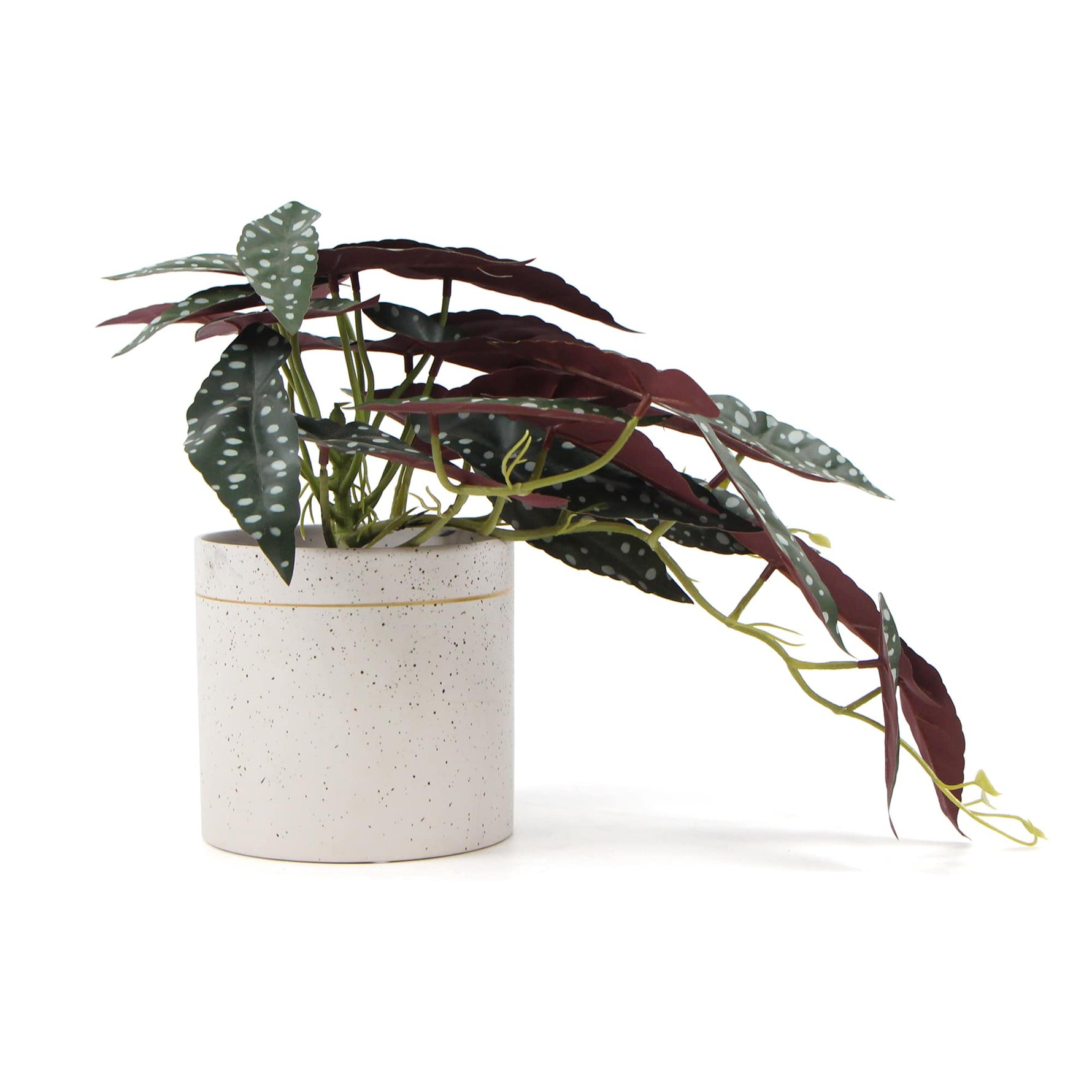 Artificial Begonia Plant In Decorative Bowl 30cm - Designer Vertical Gardens Artificial Shrubs and Small plants Flowering plants