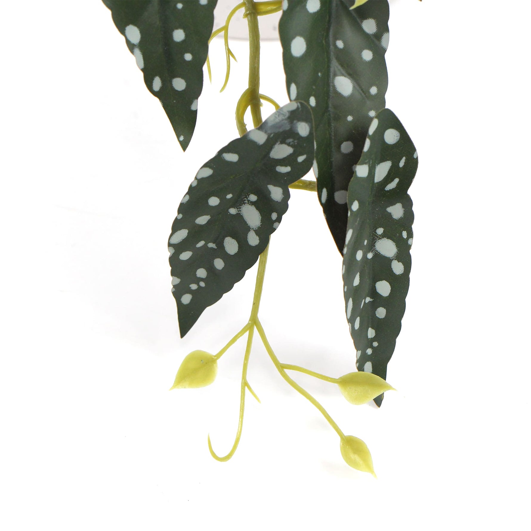 Artificial Begonia Plant In Decorative Bowl 30cm - Designer Vertical Gardens Artificial Shrubs and Small plants Flowering plants
