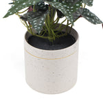 Artificial Begonia Plant In Decorative Bowl 30cm - Designer Vertical Gardens Artificial Shrubs and Small plants Flowering plants