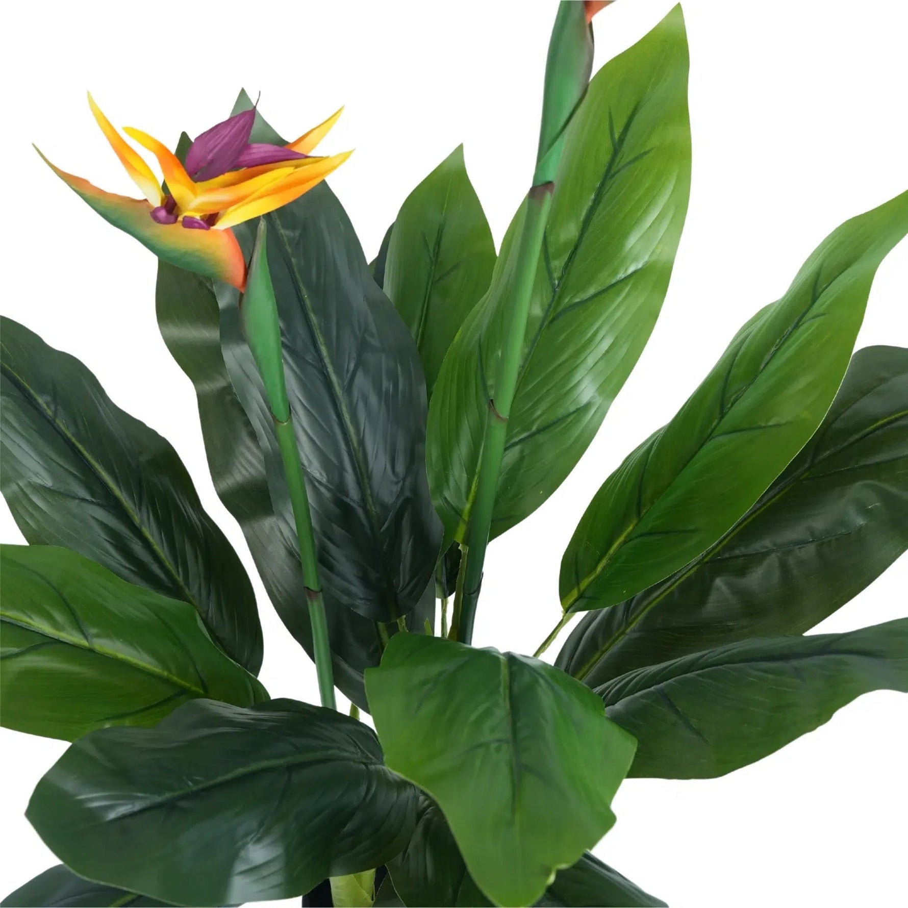 Artificial Bird of Paradise Plant 110cm - Designer Vertical Gardens Artificial Trees artificial vertical garden plants