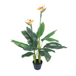 Artificial Bird of Paradise Plant 110cm - Designer Vertical Gardens Artificial Trees artificial vertical garden plants