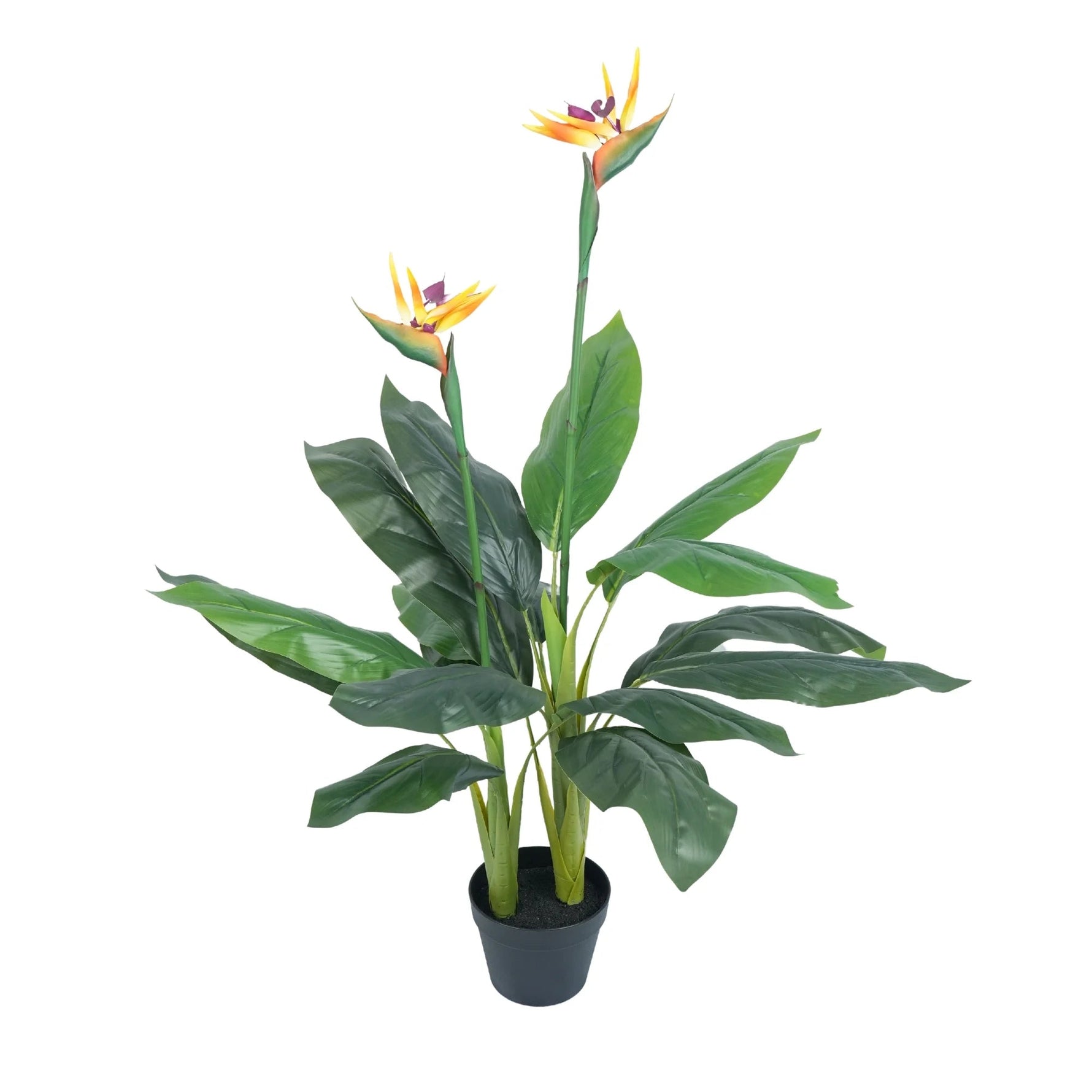 Artificial Bird of Paradise Plant 110cm - Designer Vertical Gardens Artificial Trees artificial vertical garden plants