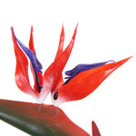 Artificial Bird Of Paradise Plant 110cm (Red Flowers) - Designer Vertical Gardens Artificial Trees Flowering plants