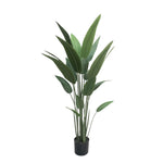 Artificial Strelitzia plant with broad green foliage