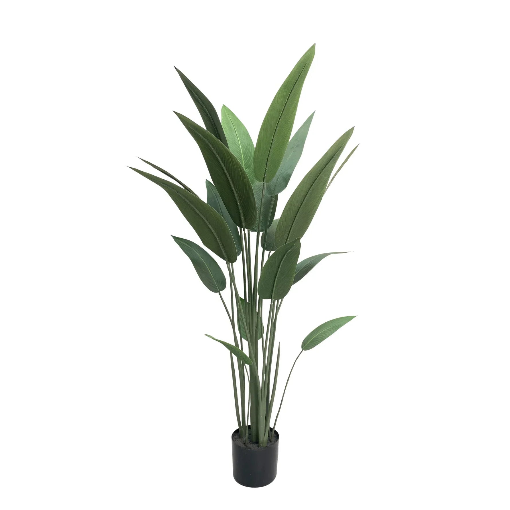 Artificial Strelitzia plant with broad green foliage