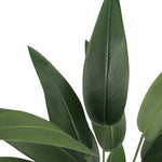 RealTex artificial Bird of Paradise leaf detail