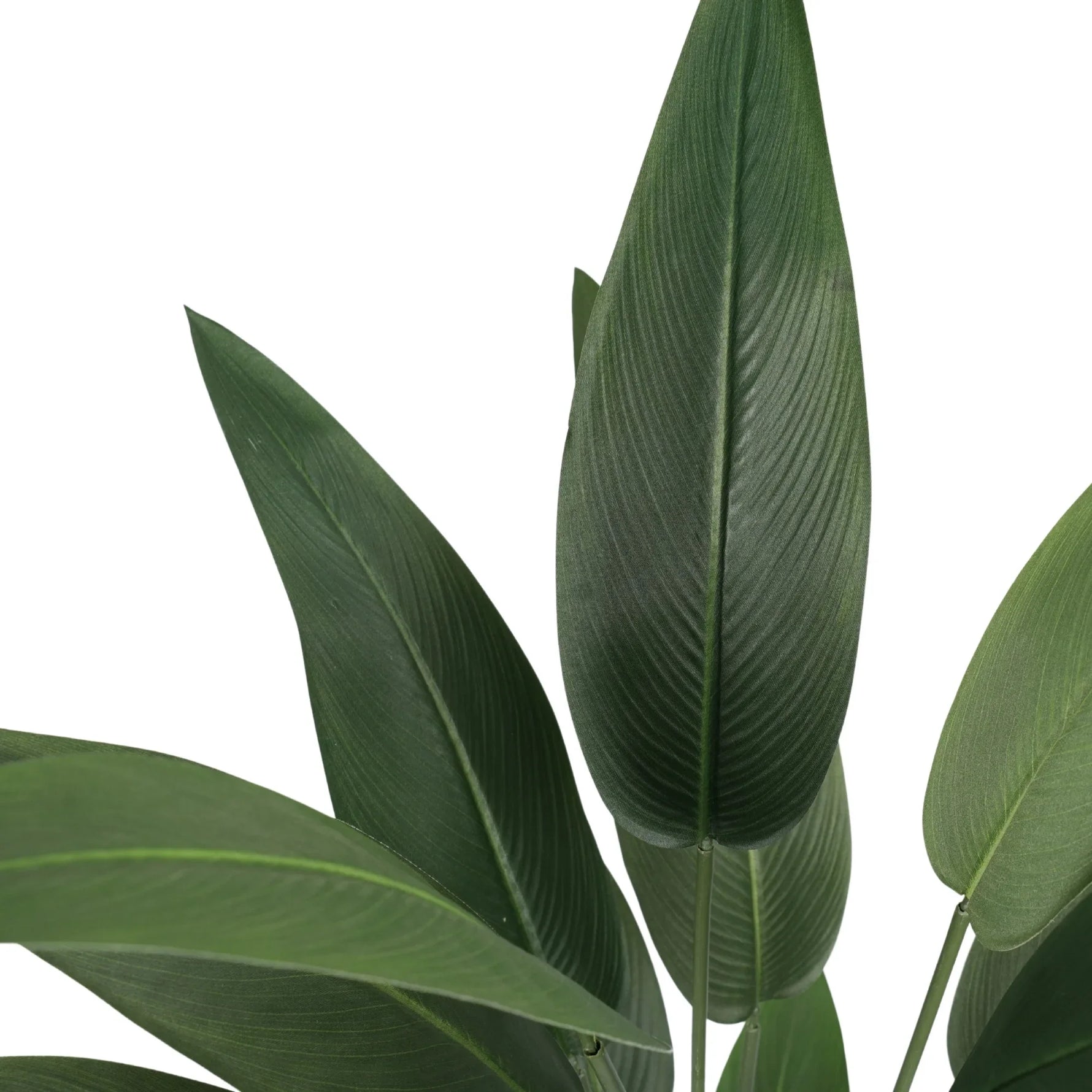 RealTex artificial Bird of Paradise leaf detail