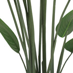 Close up of realistic artificial Strelitzia foliage