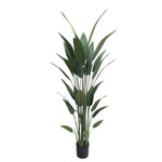 Artificial Bird of Paradise Tree 210cm – Large Tropical Faux Plant - Designer Vertical Gardens Artificial Trees indoor plant