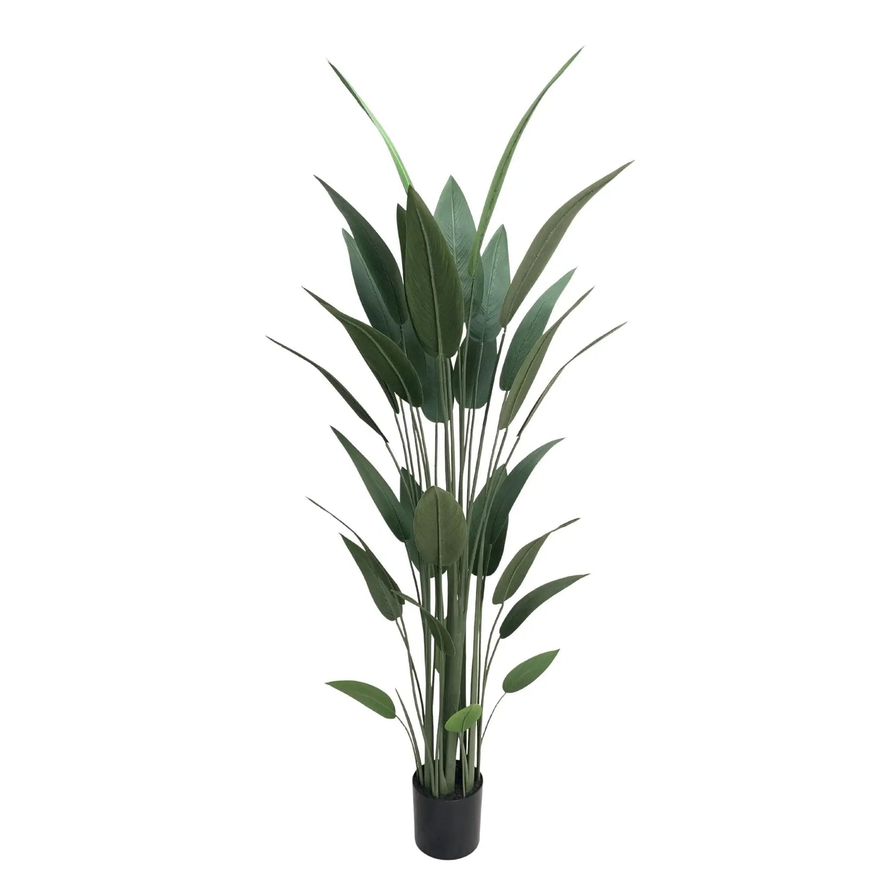 Artificial Bird of Paradise Tree 210cm – Large Tropical Faux Plant - Designer Vertical Gardens Artificial Trees indoor plant