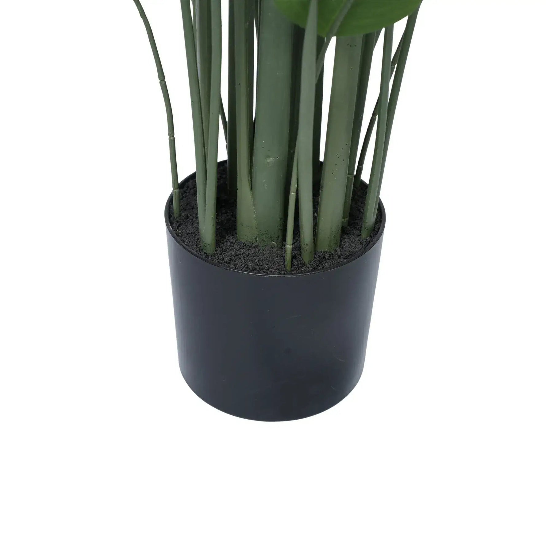 Artificial Bird of Paradise Tree 210cm – Large Tropical Faux Plant - Designer Vertical Gardens Artificial Trees indoor plant
