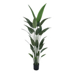 Artificial Bird of Paradise Tree 210cm – Large Tropical Faux Plant - Designer Vertical Gardens Artificial Trees indoor plant