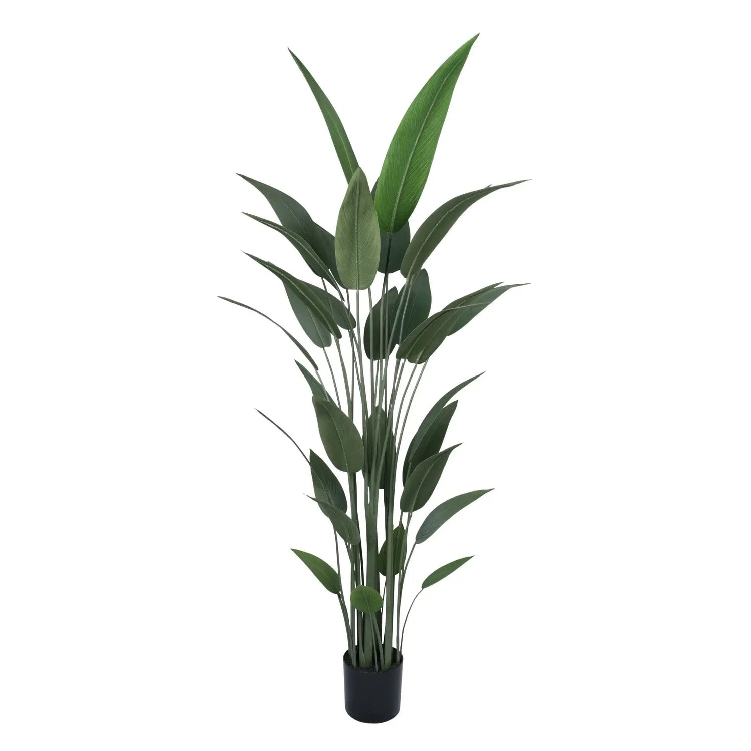 Artificial Bird of Paradise Tree 210cm – Large Tropical Faux Plant - Designer Vertical Gardens Artificial Trees indoor plant