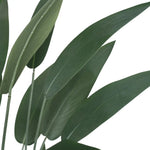 Artificial Bird of Paradise Tree 210cm – Large Tropical Faux Plant - Designer Vertical Gardens Artificial Trees indoor plant