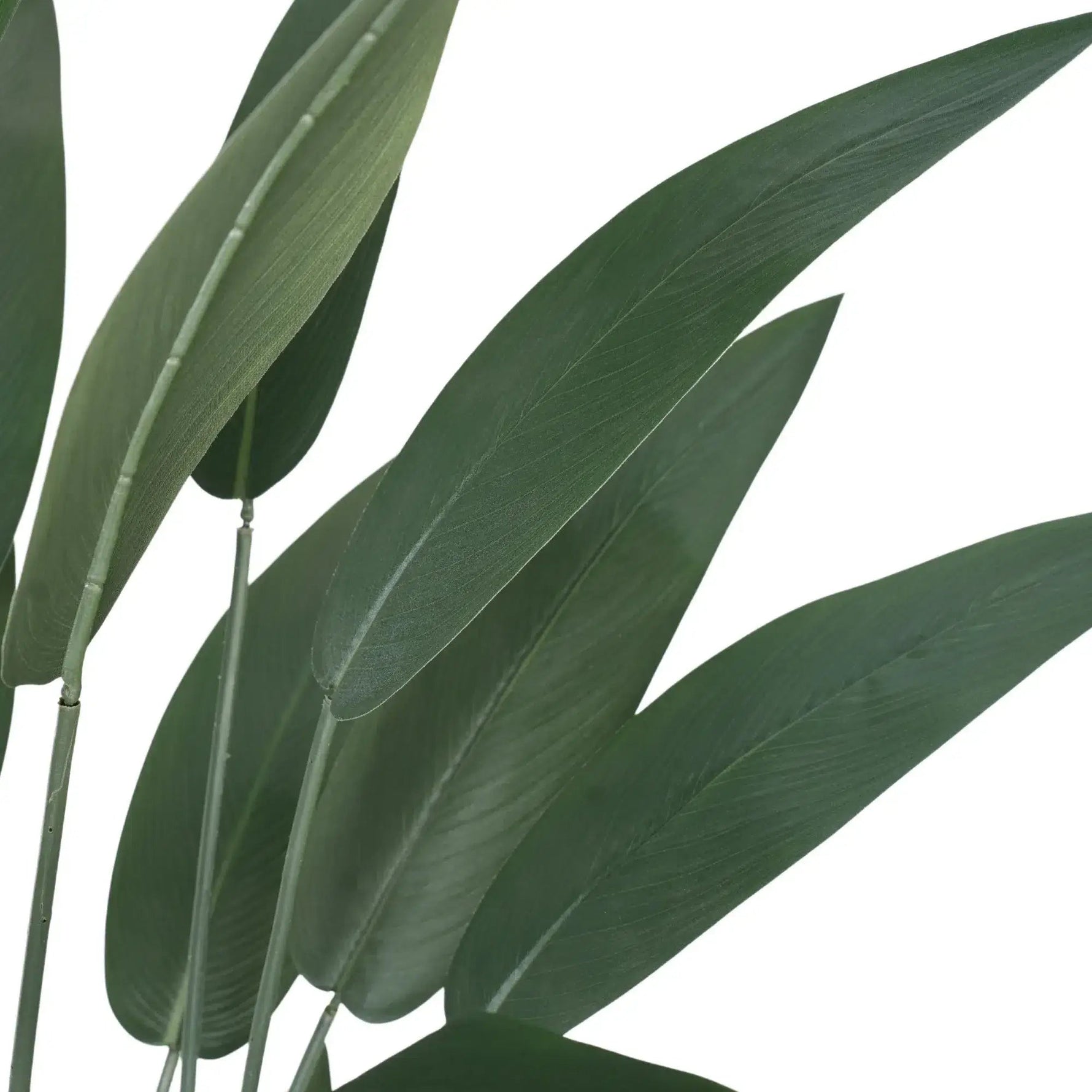 Artificial Bird of Paradise Tree 210cm – Large Tropical Faux Plant - Designer Vertical Gardens Artificial Trees indoor plant