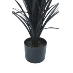 Potted plant with dark green leaves on a white background
