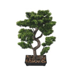 Bonsai tree in a pot on a white background