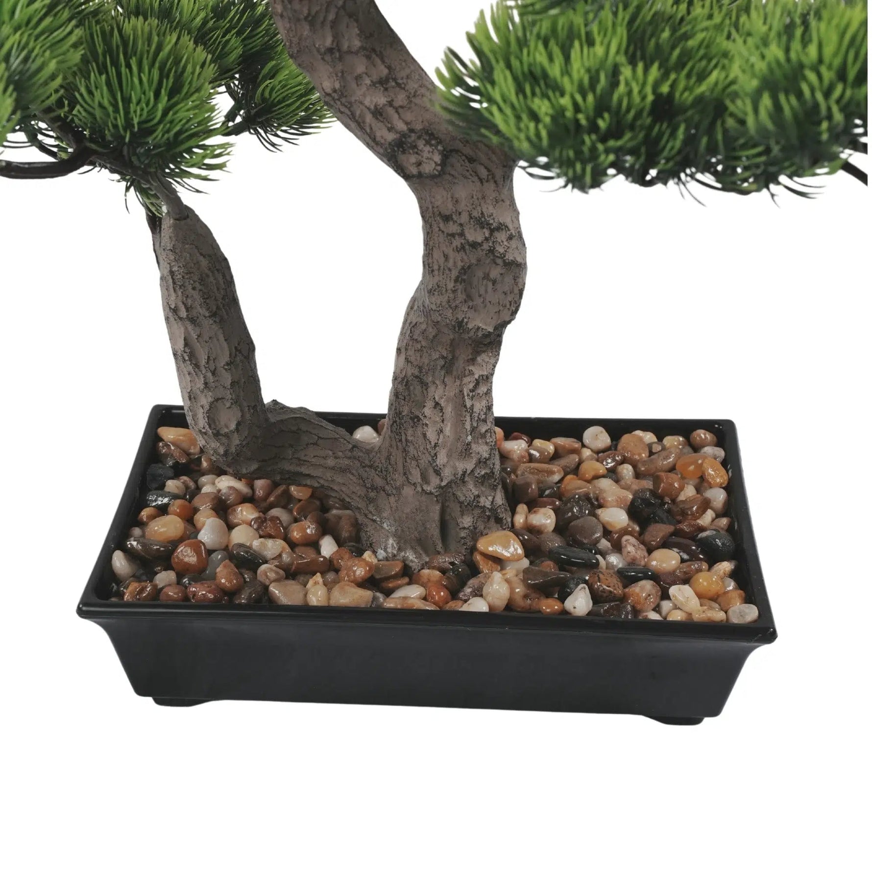 Bonsai tree in a pot with pebbles on a white background