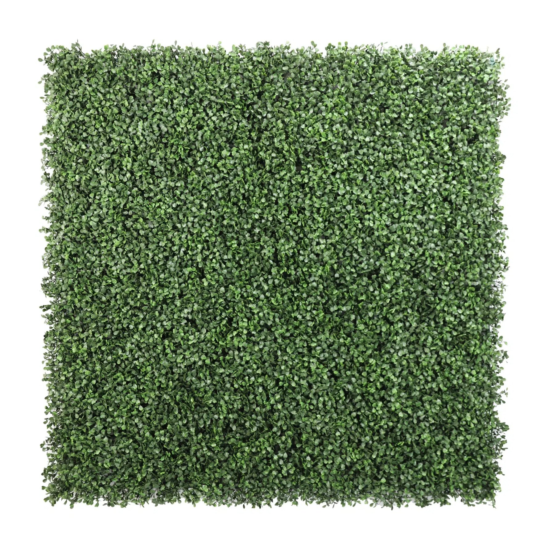 English Boxwood Artificial Hedge Panel 1m x 1m – SGS UV Resistant - front view