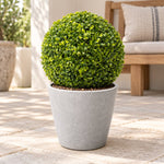 Artificial Boxwood Topiary Ball 28cm - UV Resistant Mixed Green Foliage - Designer Vertical Gardens artificial topiary artificial topiary ball