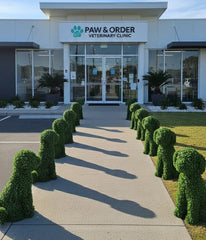 Artificial Boxwood Topiary Dog 60cm UV Resistant