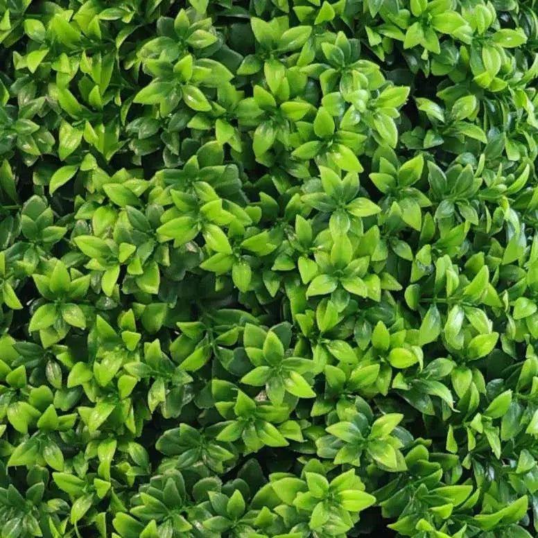 Artificial Boxwood Tree 120cm - UV Resistant Bright Green Buxus - Designer Vertical Gardens Artificial Trees