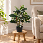 Artificial Bushy Dense Variegated Ficus Tree (Rubber Tree) 50cm - Designer Vertical Gardens Artificial Ficus artificial garden plants