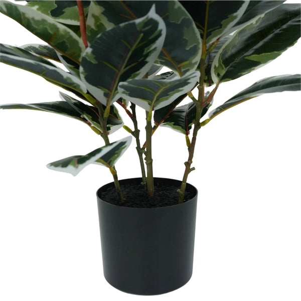 Artificial Bushy Dense Variegated Ficus Tree (Rubber Tree) 50cm — gallery image 8