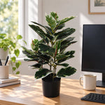Artificial Bushy Dense Variegated Ficus Tree (Rubber Tree) 50cm - Designer Vertical Gardens Artificial Ficus artificial garden plants