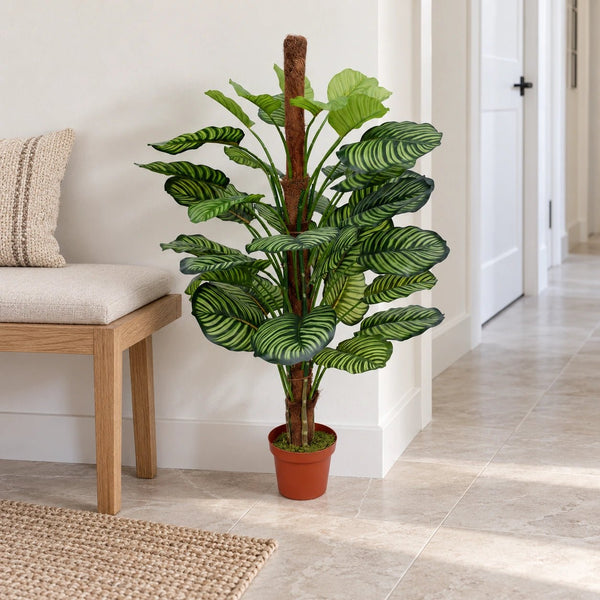Artificial Calathea Plant 110cm in Pot - Premium Striped Foliage for Home & Office — gallery image 9