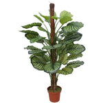Artificial Calathea Plant 110cm in Pot - Premium Striped Foliage for Home & Office - Designer Vertical Gardens artificial calathea Artificial Trees