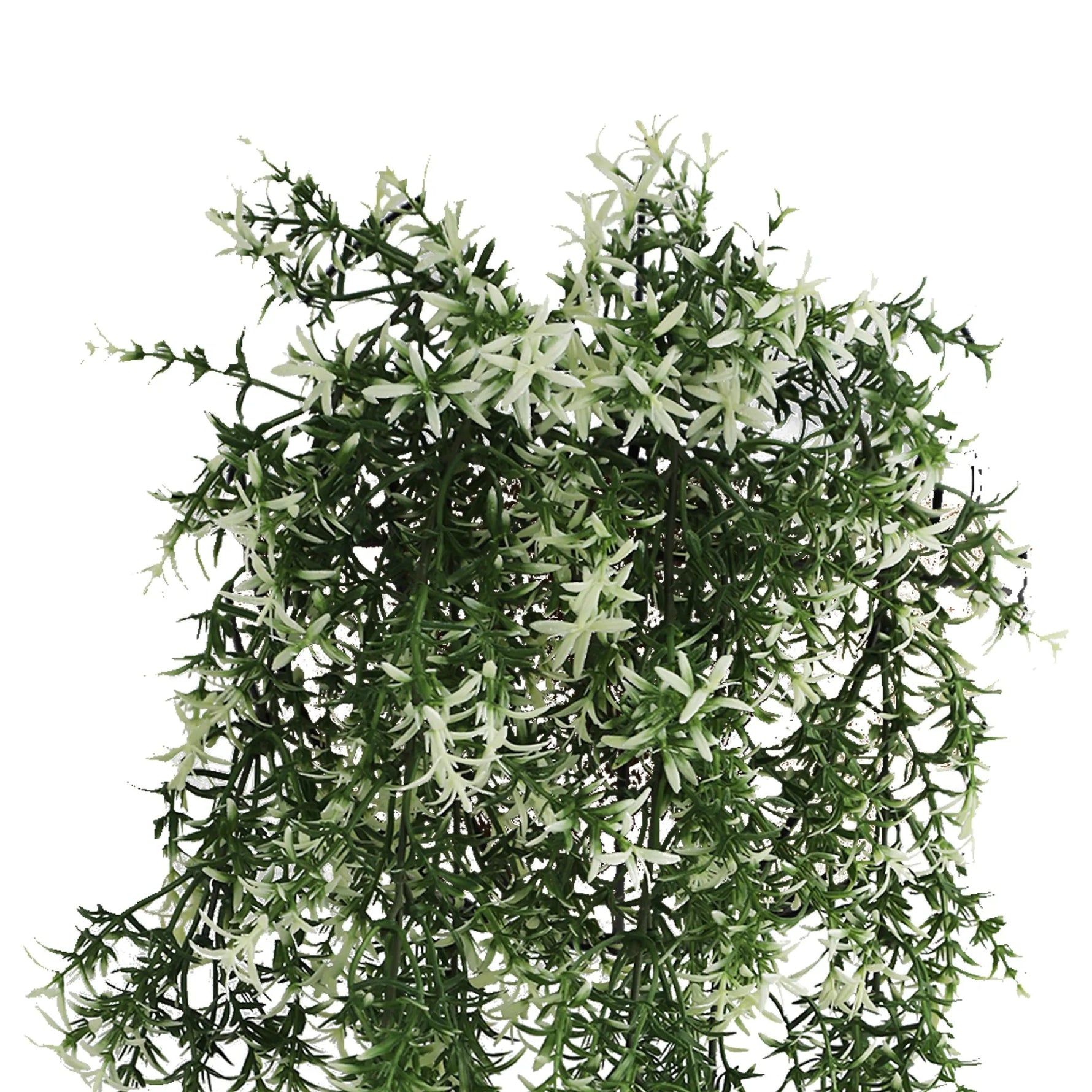 Artificial Cascading Jasmine Vine – UV Resistant & Fire Safe (20cm x 76cm) - Designer Vertical Gardens artificial hanging ferns hanging fern