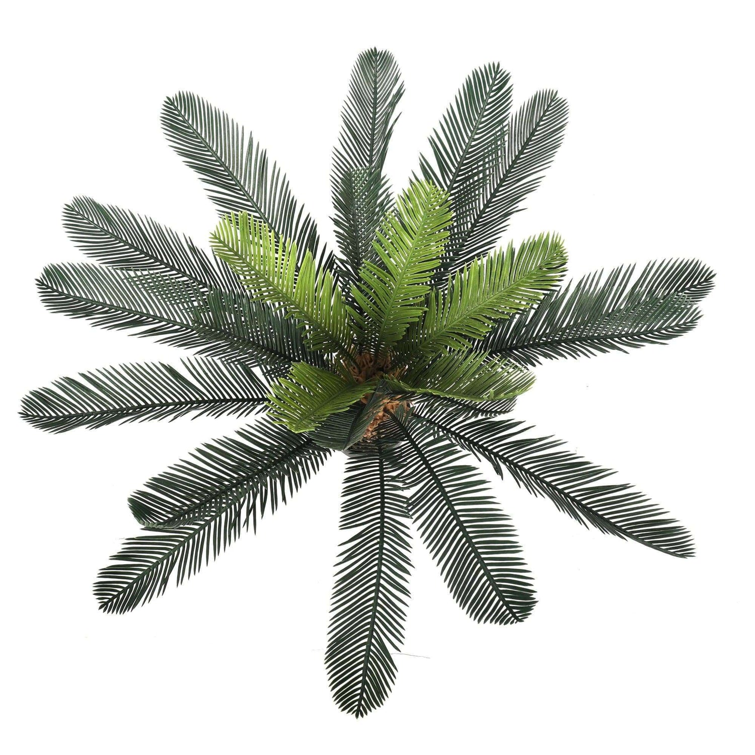 Artificial Cyac (Cycad) Plant 60cm - Designer Vertical Gardens artificial green wall sydney Artificial Trees