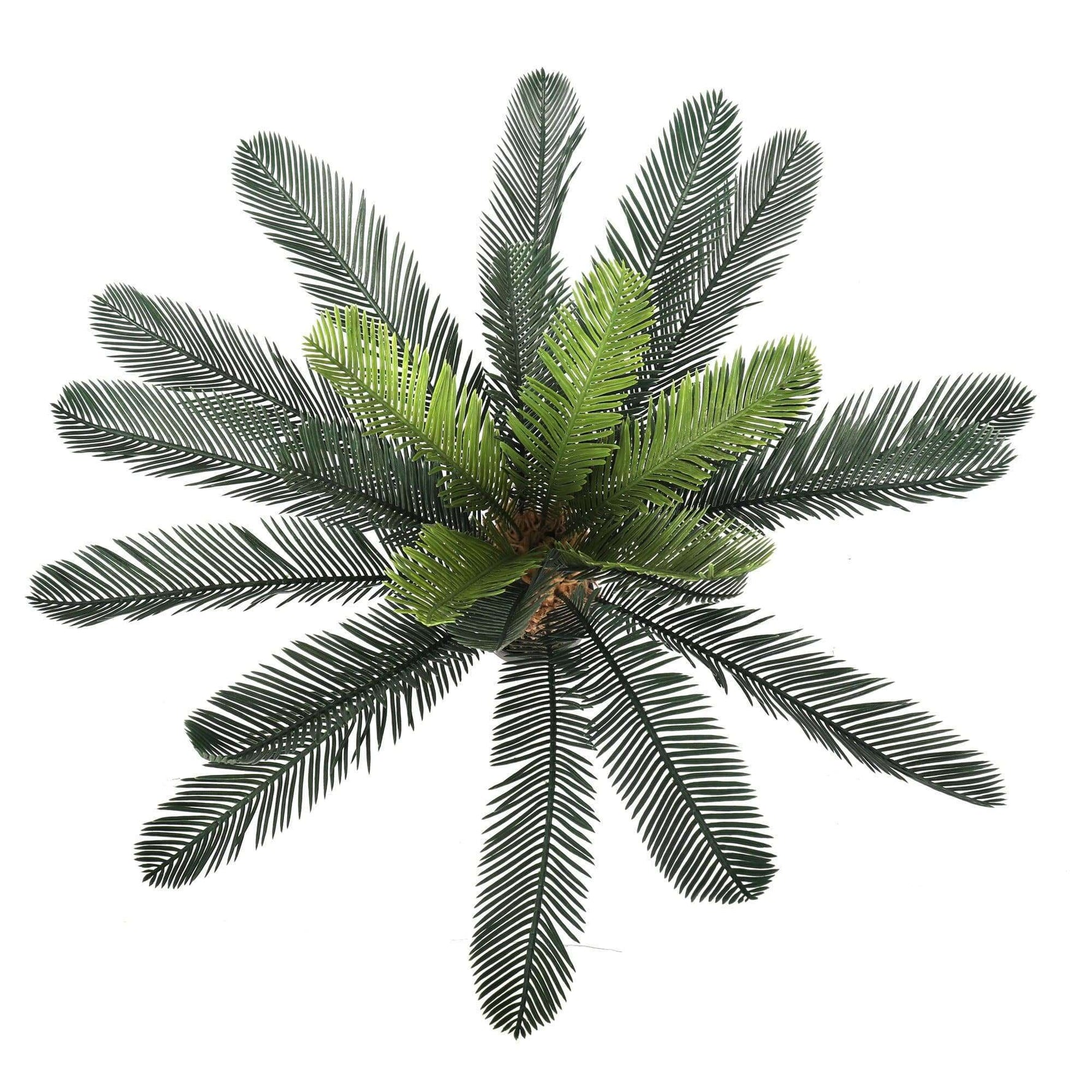 Artificial Cyac (Cycad) Plant 60cm - Designer Vertical Gardens artificial green wall sydney Artificial Trees
