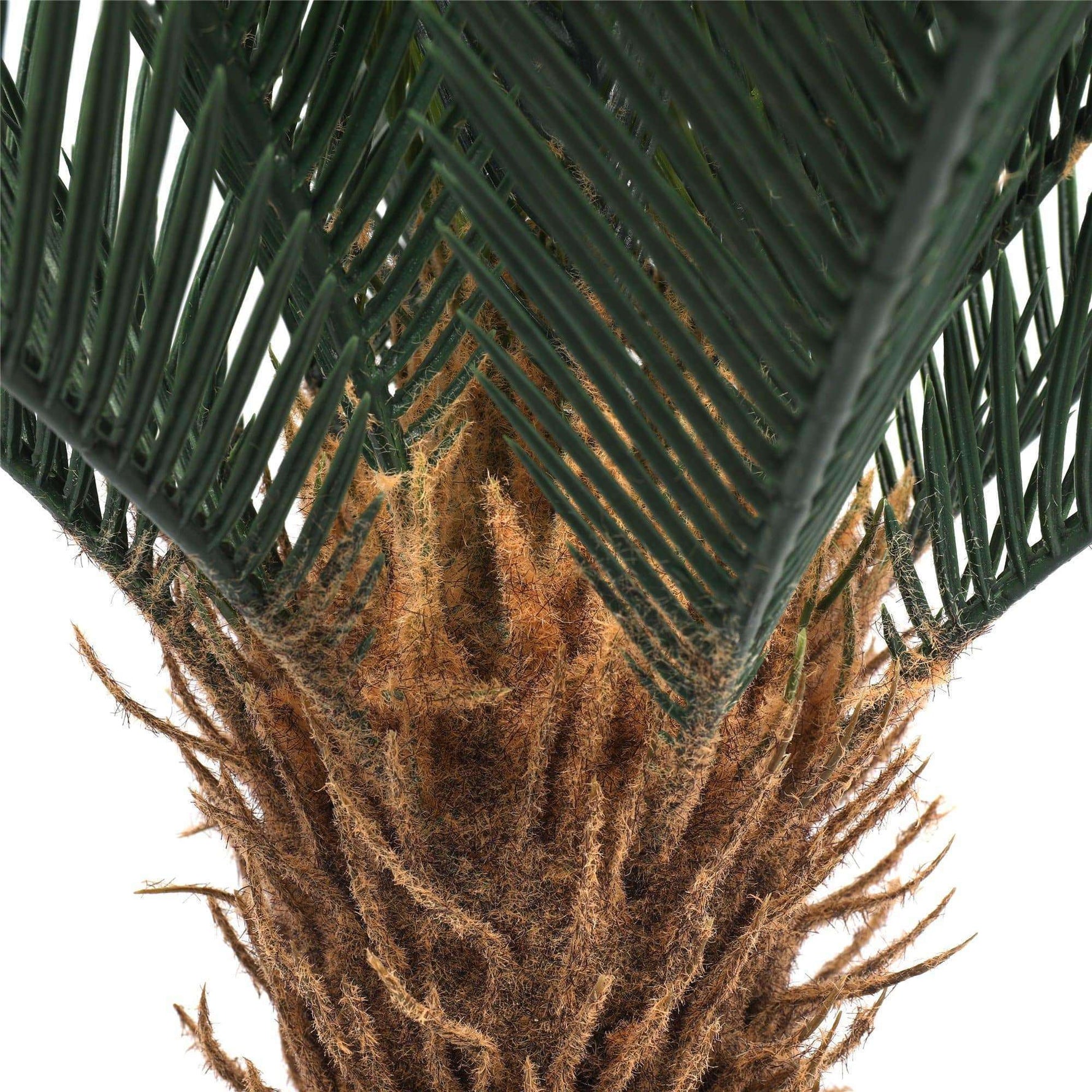 Artificial Cyac (Cycad) Plant 60cm - Designer Vertical Gardens artificial green wall sydney Artificial Trees