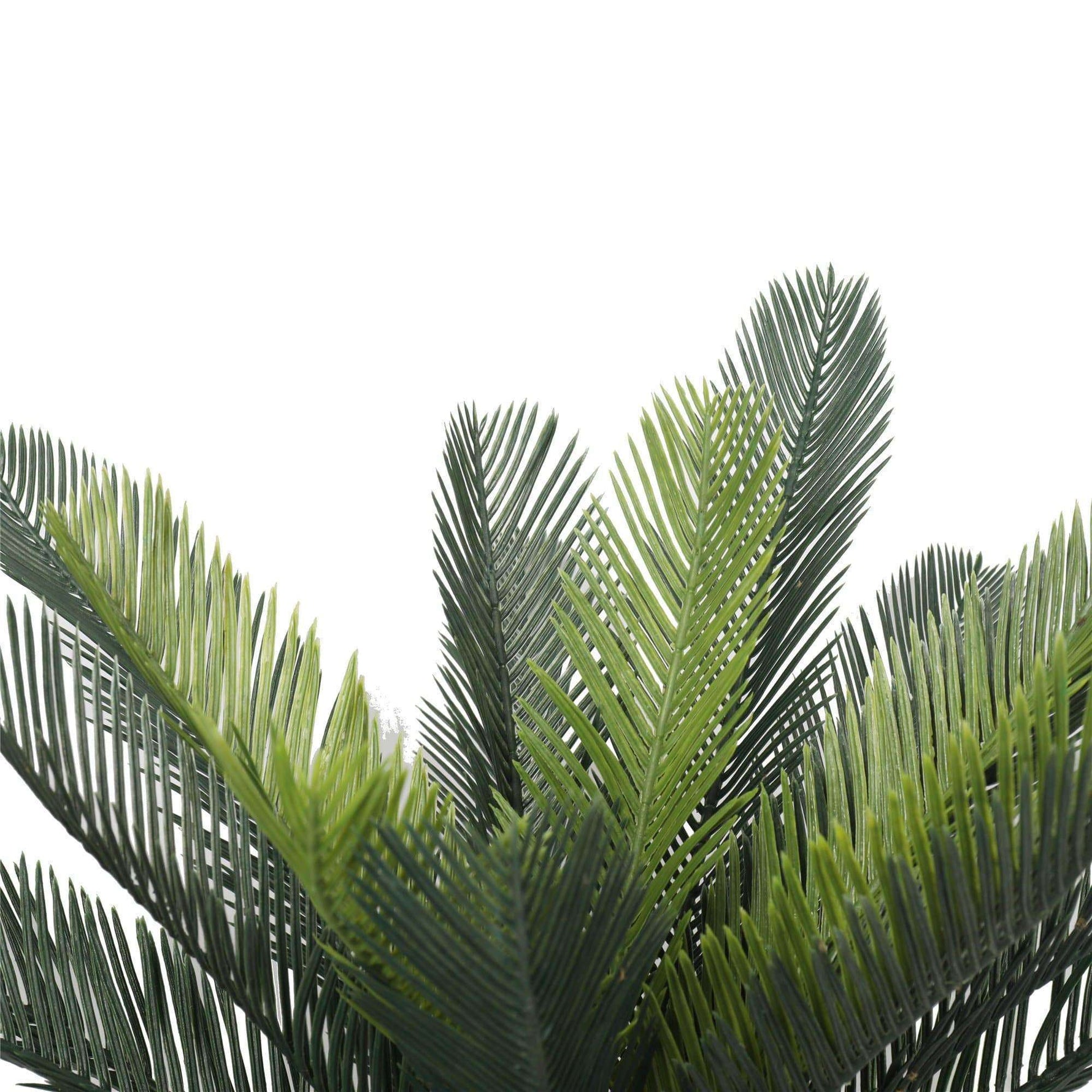 Artificial Cyac (Cycad) Plant 60cm - Designer Vertical Gardens artificial green wall sydney Artificial Trees