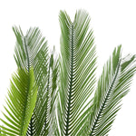 Artificial Cycas / Cycad Palm Tree 105cm UV Resistant - Designer Vertical Gardens Artificial Trees Artificial Trees for Balconies