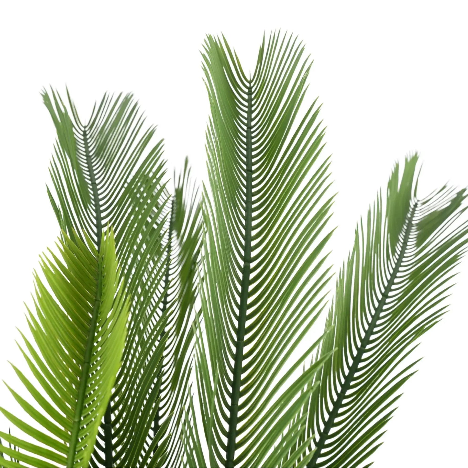 Artificial Cycas / Cycad Palm Tree 105cm UV Resistant - Designer Vertical Gardens Artificial Trees Artificial Trees for Balconies