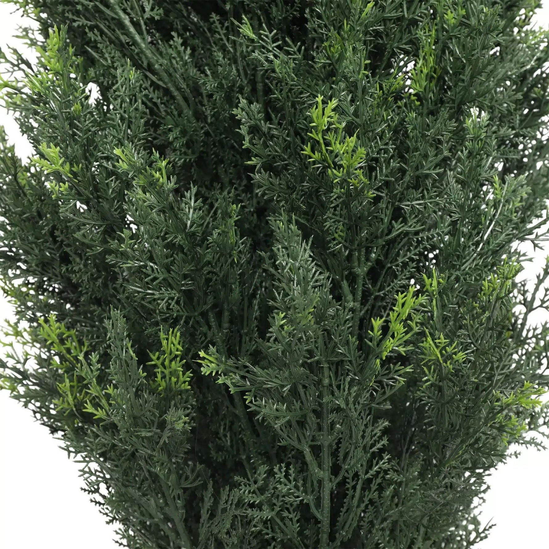 Artificial Cypress Pine Tree UV Resistant 2.1M - Designer Vertical Gardens artificial hedges sydney artificial vertical garden plants