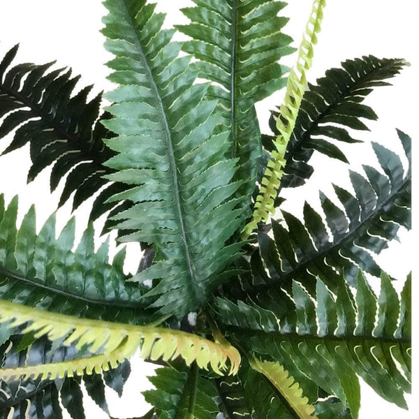 Artificial Dark Green Boston Fern 60cm — gallery image 5
